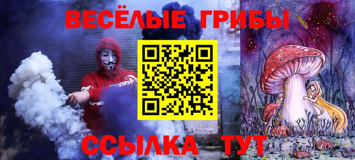 Владимир  Галлюциногенные грибы мухоморы  Вход с VPN  Псилоцибиновые грибы прущие грибы 
